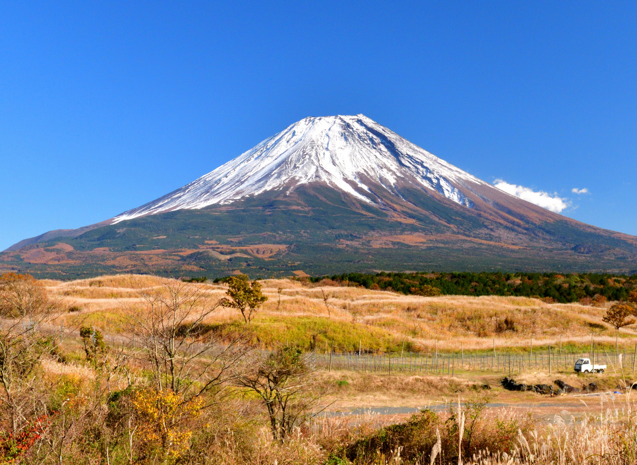 Mt. Fuji